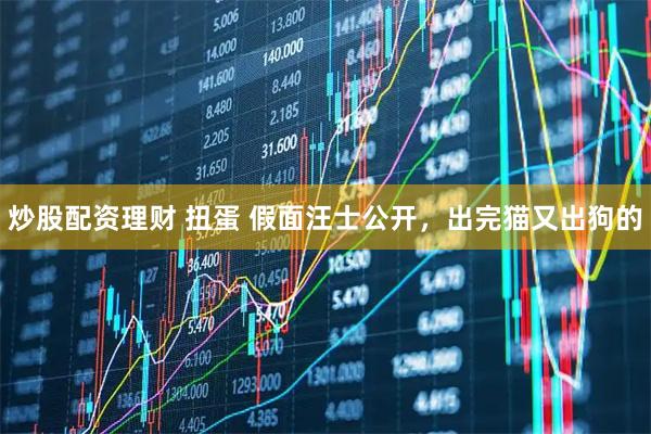 炒股配资理财 扭蛋 假面汪士公开,出完猫又出狗的